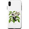 The Botany Bureau Custodia per iPhone XS Max Illustrazione della pianta di gelso Morus alba
