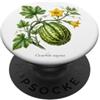 The Botany Bureau Illustrazione della pianta di zucca Cucurbita maxima PopSockets PopGrip Adesivo