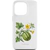 The Botany Bureau Custodia per iPhone 13 Pro Illustrazione della pianta di zucca Cucurbita maxima