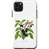 The Botany Bureau Custodia per iPhone 11 Pro Max Illustrazione della pianta di gelso Morus alba