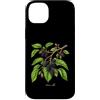 The Botany Bureau Custodia per iPhone 14 Plus Illustrazione della pianta di gelso Morus alba