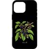 The Botany Bureau Custodia per iPhone 16 Pro Max Illustrazione della pianta di gelso Morus alba