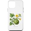 The Botany Bureau Custodia per iPhone 12 mini Illustrazione della pianta di zucca Cucurbita maxima