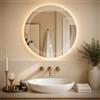 MYGIIVOVO Specchio da bagno con illuminazione, specchio con luce LED, 60 cm
