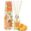 Hassett Green London Diffusore di Fragranza Just Orange 100ml - Profumo per Ambienti Interni a Lunga Durata con 8 Canne in Rattan, Regalo Perfetto per Ogni Occasione
