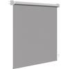 WOLTU Tenda a Rullo Oscurante con Montaggio a Vite, 160x160 cm, Grigio | Rivestimento Argentato Termoisolante, Protezione Solare, per Finestre e Porte, Larghezza Tessuto 156 cm