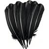 Fenisonavy Piume per Il Bricolage Piume di Tacchino Naturali Confezione da 24 Pezzi 25-30cm Ideali per lavori Artigianali Hobby creativi Decorazioni per Matrimoni e FESTIVITÀ (Nero)