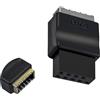WLGQ Adattatore scheda madre USB 2.0 9 pin a tipo E, nero