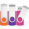 SRVR 1GB Memory Sticks 3 Pack,SRVR USB Flash drive 1GB 2.0 Swivel Thumb Drives Data Storage Jump Drive Zip Drive Memory Sticks External Devices with Led Indicator(Mixed Color With Lanyard)