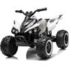 LALAHO Quad Elettrico Per Bambini 12V Kinderquad