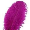 Sowder Piume di struzzo Sowder, 10 pezzi, 30-35 cm, decorazioni di nozze o per la casa Fuchsia