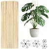 PETERMALLON Bastoncini di supporto per piante, 50 pezzi, 40 cm, riutilizzabili, in bambù, supporto per fiori, attrezzi da giardino per pali da giardino (40 cm)