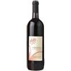 Antolini Valpolicella Antolini 2024, 750 ml
