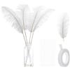 PATIKIL 12 Pz Piume di Struzzo Naturali 12-14 Pollici / 30-35 CM Grande Kit di Piume di Struzzo per Artigianato, Vaso, Decorazione Domestica, Matrimonio, Composizione Floreale (Bianco)