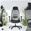 FLEXISPOT Balanso Sedia Ergonomica da Ufficio con Poggiapiedi, Dynamic Balance 6°, Supporto Lombare Adattivo, Braccioli 3D, Cuscino Senza Formaldeide, Nero