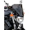 Ermax Cupolino FZ6 S2 (+ kit fix and brackets) 2007 2011 colore trasparente prodotto da Ermax 26 cm