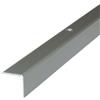 Dalsys Profilo per bordo scala 200cm x 42mm x 20mm Champagne alluminio