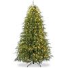 XMAS Albero di Natale Luminoso Heritage Ultra-Realistico, 850 Rami, 450 Led, Altezza 210 cm
