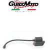 Malaguti CENTRALINA ELETTRONICA CR1 SCOOTER ATALA SUZUKI MALAGUTI IDM 60509800