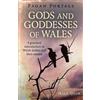 Halo Quin Pagan Portals - Gods and Goddesses of Wales (Tascabile)