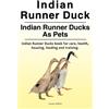 Louise Jeffrey Indian Runner Duck. Indian Runner Ducks As Pets. Indi (Tascabile)