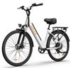 URLIFE Bicicletta elettrica da 66 cm per adulti, mountain bike con display LCD, batteria rimovibile da 48 V, 10,4 Ah, motore brushless da 250 W, deragliatore a 7 velocità, gamma 80-100 km, bici
