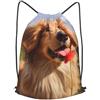 Anceky Zaino con coulisse per palestra, borsa con coulisse per cani, borsa da nuoto per uomo e donna