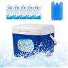 Generisch Contenitore termico per ghiaccio, 5 l, a prova di perdite | Refrigeratore da campeggio con accumulatori di ghiaccio per alimenti, acqua, birra, bevande, bottiglie, all'aperto, viaggi