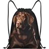 Anceky Zaino con coulisse, borsa da palestra con coulisse, borsa da nuoto Brown Retriever per uomo e donna