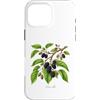 The Botany Bureau Custodia per iPhone 16 Pro Max Illustrazione della pianta di gelso Morus alba