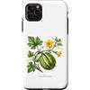 The Botany Bureau Custodia per iPhone 11 Pro Max Illustrazione della pianta di zucca Cucurbita maxima