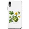 The Botany Bureau Custodia per iPhone XR Illustrazione della pianta di zucca Cucurbita maxima
