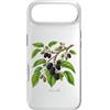 The Botany Bureau Custodia per iPhone Air Illustrazione della pianta di gelso Morus alba