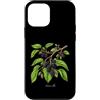 The Botany Bureau Custodia per iPhone 12 mini Illustrazione della pianta di gelso Morus alba
