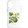 The Botany Bureau Custodia per iPhone 16 Illustrazione della pianta di zucca Cucurbita maxima