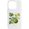 The Botany Bureau Custodia per iPhone 14 Pro Illustrazione della pianta di zucca Cucurbita maxima