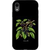 The Botany Bureau Custodia per iPhone XR Illustrazione della pianta di gelso Morus alba