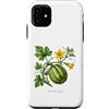 The Botany Bureau Custodia per iPhone 11 Illustrazione della pianta di zucca Cucurbita maxima