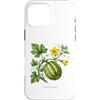 The Botany Bureau Custodia per iPhone 16 Pro Max Illustrazione della pianta di zucca Cucurbita maxima