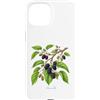 The Botany Bureau Custodia per iPhone 15 Illustrazione della pianta di gelso Morus alba