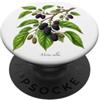 The Botany Bureau Illustrazione della pianta di gelso Morus alba PopSockets PopGrip Adesivo