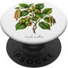 The Botany Bureau Illustrazione della pianta di nocciola Corylus avellana PopSockets PopGrip Adesivo