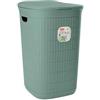Stefanplast Cesto Portabiancheria Domus Green Tea 36 x 37 x 56 cm 50 Litri