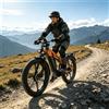 puluma E-bike PULUMA PH003 ad alte prestazioni fuoristrada per adulti, batteria 48V 20Ah, doppio motore, pneumatici fat 26\*4 per tutti i terreni, display con connessione Bluetooth