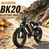Headeer Bicicletta Elettrica Headeer Bk20 con Pneumatici Larghi da 20 Pollici, Motore da 750W, Velocità Massima 50 Km/H, Batteria 48V 20Ah, Doppio Freno a Disco, Display LCD