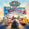 Paw Patrol Pull Back Cars Cartoon Vehicle Chase Skye Marshall Rubble Playset Action Figure Collection Model Toys Birthday Gift