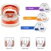 Hailicare Apparecchi ortodontici, Apparecchi dentali, Dispositivo per l'allineamento dei denti, Retainer in silicone istantaneo, Paradenti, Goffratura ortodontica