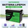 DATOUBOSS Batteria ricaricabile LiFePO4 DATOUBOSS 24V 100Ah 2560Wh con BMS integrato, ciclo profondo, per accumulo di energia solare domestica, camper, uso fuori rete, campeggio, alimentazione di emergenza,