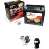 MOTO SPORT MONDO COMPATIBILE CON MOTO GUZZI Nevada Classic - Aquila Nera (LML00) 750 2012-2016 BATTERIA GIA' PRONTA CARICA SIGILLATA OKYAMI OTX14-BSR BATTERIE ATTIVE 12 AH AMPERE 12 VOLT 150X87X145 MM