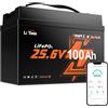 LiTime Batteria Litio 24V 100Ah Mini LiFePO4 24 V con Bluetooth per Barche